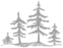 Decorative Image